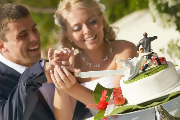 Lovely couple cutting wedding cake during ceremony on tropical i