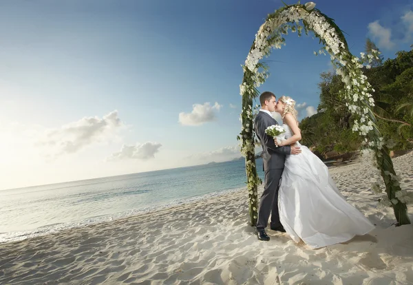 Gorgeous couple kissing, standing under wedding arch during sun