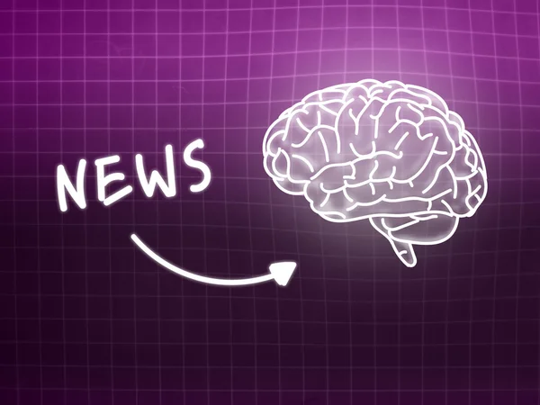 News brain background knowledge science blackboard pink