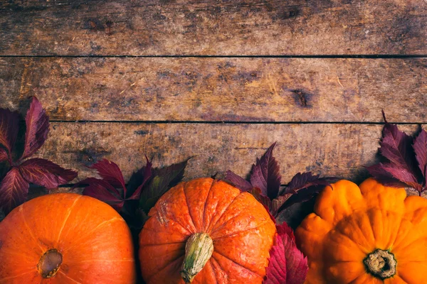 Autumn food background with pumpkins and colored leaves