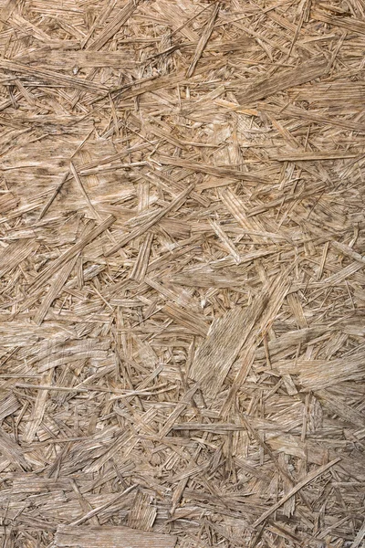 Three donkeys eating hay