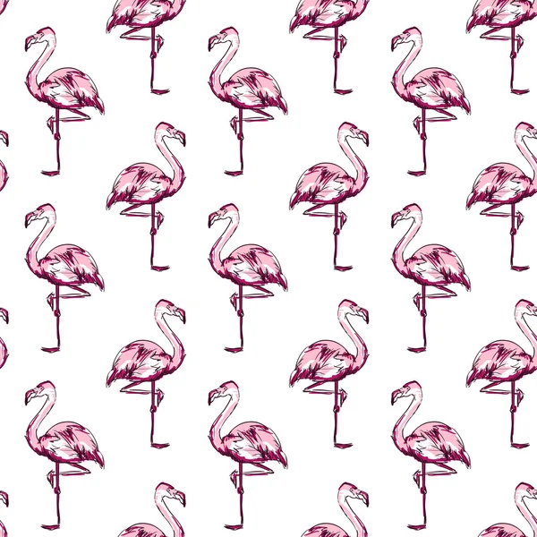 火烈鸟的素描图 - 图库矢量图像 AlsouSh #123