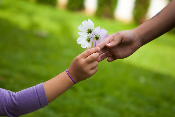 Child\'s hand giving flowers to her friend