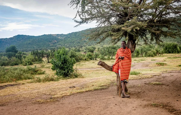 Man from Masai tribe poses for a picture portrait