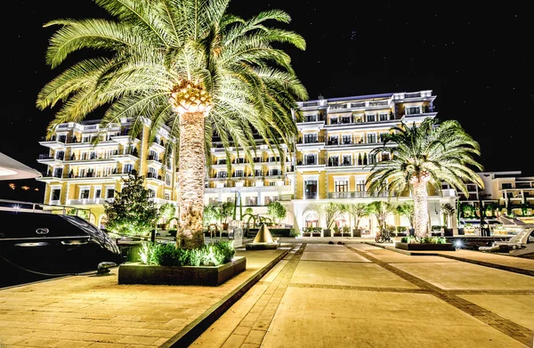 Palm trees and the buildings in the night lights in Marina Porto