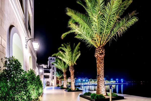 Palm trees and the buildings in the night lights in Marina Porto