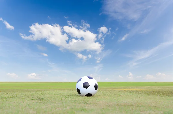 Soccer ball on green grass field under blue sky