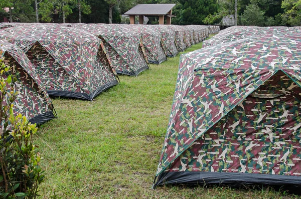 Many camping tents on the lawn