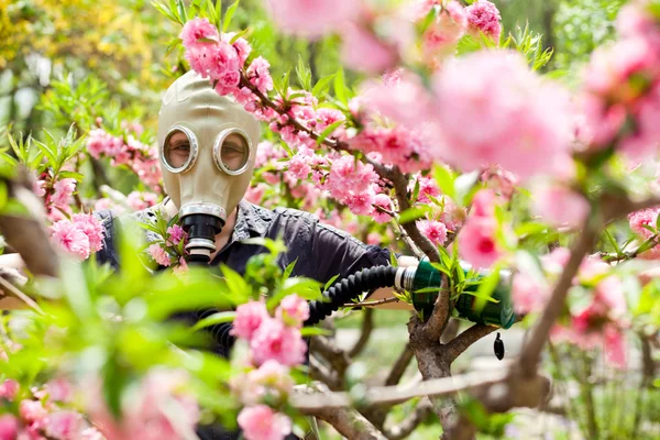 Man in the mask on the flowers background