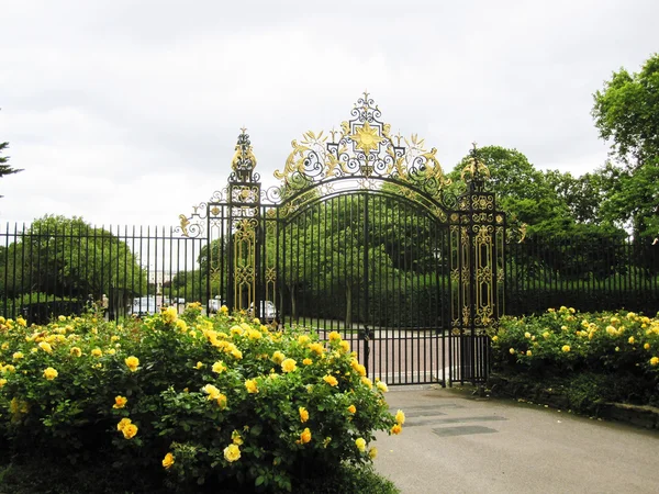 Ornate iron gate in London