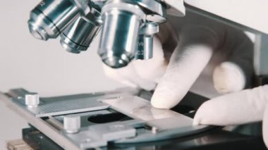 科学家在实验室中使用显微镜 - 图库视频影像 