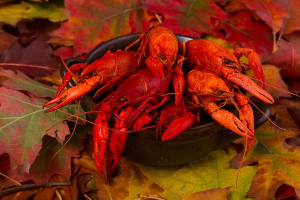 Red boiled crawfish on wooden plank