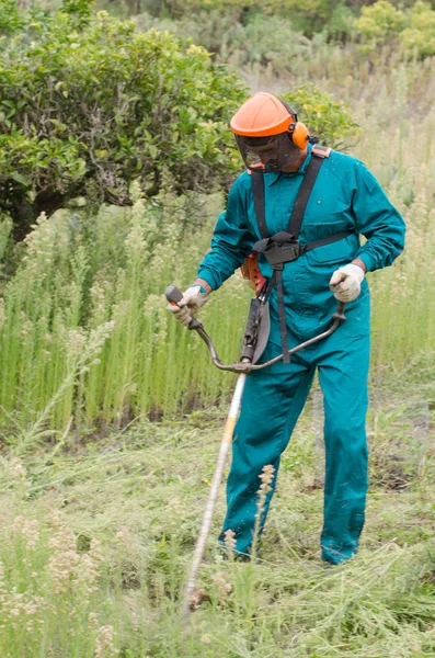 Young farmer cutting weeds.