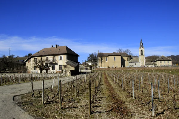 Houses and wineland in the rural area near Grenoble