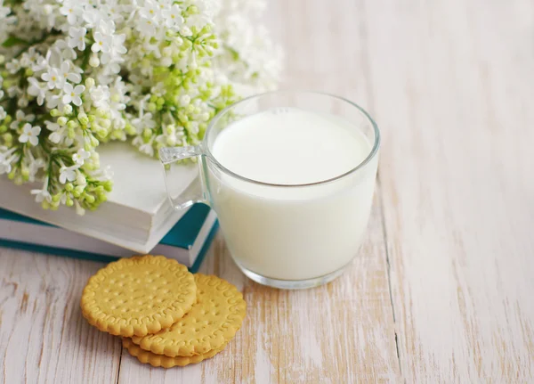 Milk mug, cookies and books with a bouquet of a white lilac