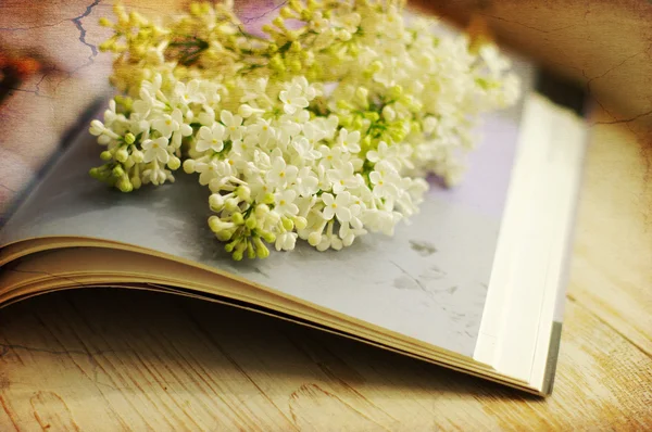 Bouquet of a white lilac on the open book.