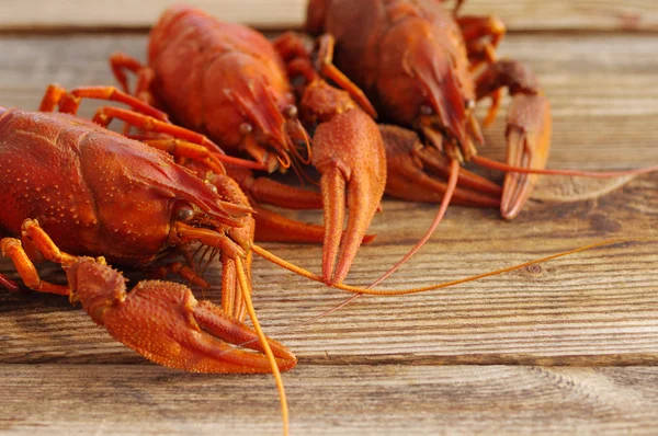 Boiled crawfishes on a wooden background