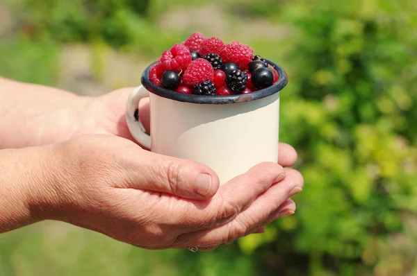 Fresh juicy berries of raspberry and currant in an iron mug in the woman\'s hands