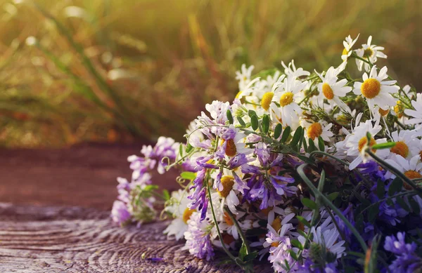 Bouquet of field camomiles on a wooden background.