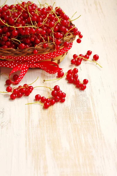 Berries of red currant in the basket