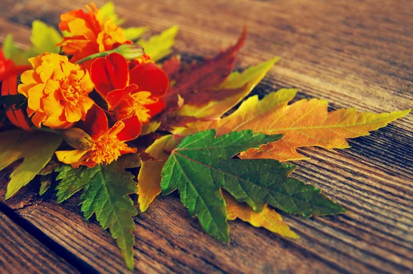 Autumn background with bright autumn flowers and leaves. Autumn flowers and leaves on a textural wooden surface.
