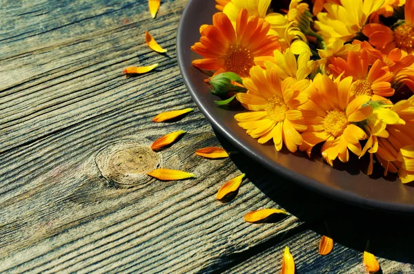 Yellow summer flowers in a round ceramic plate on a wooden surface. Calendula flowers. Medicinal herbs