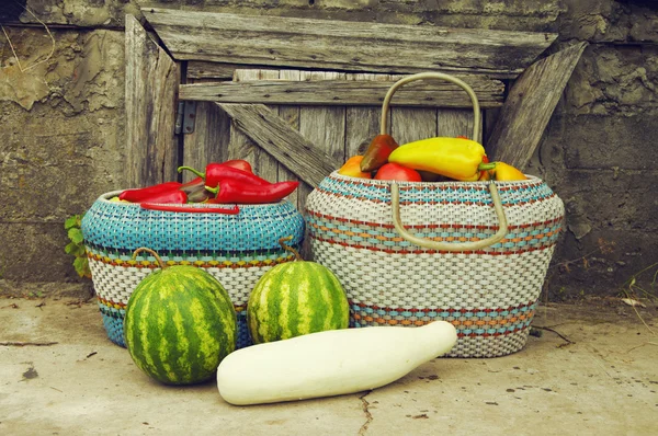 Red sweet and yellow pepper in a wattled basket, two water-melons and a vegetable marrow. Autumn crop of vegetables