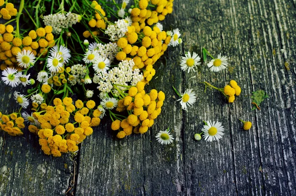 Summer flowers on a wooden old background. Medicinal flowers of a tansy. Beautiful flower background with yellow flowers in vintage style