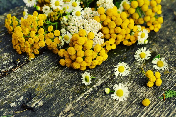 Summer flowers on a wooden old background. Medicinal flowers of a tansy. Beautiful flower background with yellow flowers in vintage style