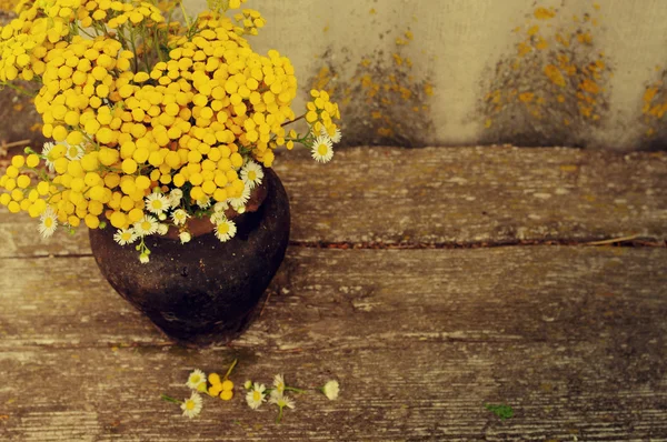 Summer flowers in an old pot on a wooden old background. Medicinal flowers of a tansy. Beautiful flower background with yellow flowers in vintage style