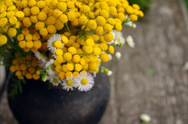 Summer flowers in an old pot on a wooden old background. Medicinal flowers of a tansy. Beautiful flower background with yellow flowers in vintage style
