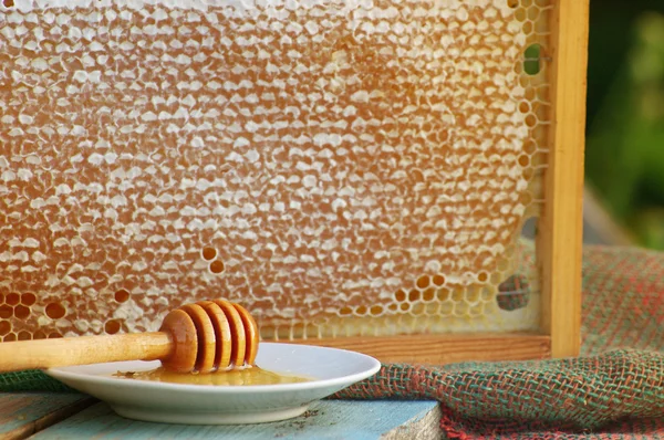 Honey honeycombs and honey stick on a saucer in summer day