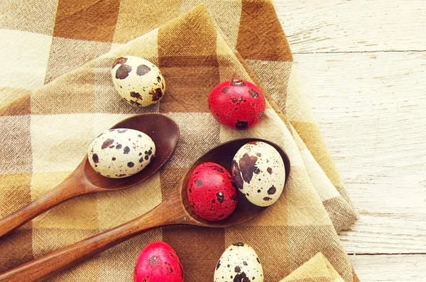 Quail colorful Easter eggs in wooden spoons.