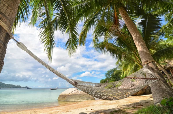 Hammock hanging between palm trees at the sandy beach and sea coast