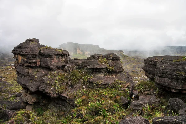 Stunning another planet looking like rocky terrain of mount Roraima covered with mysterious fog