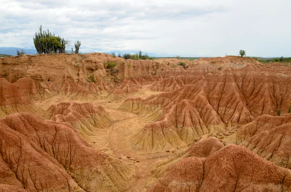 Stunning view to colorful sands of Tatacoa tropical dry forest