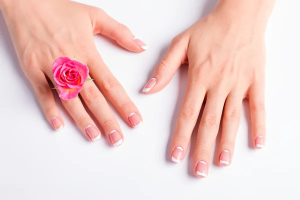 Pink rose between fingers.