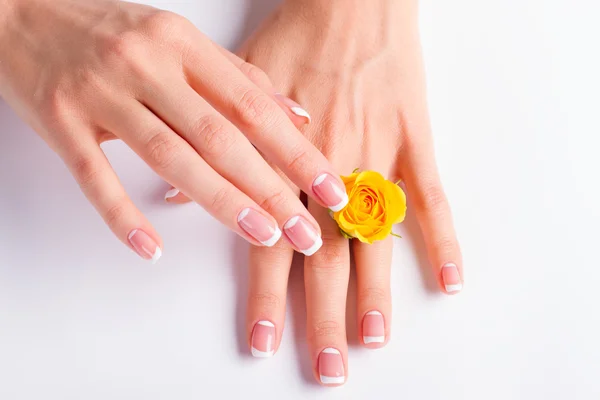 Beautiful yellow rose between the women\'s fingers.