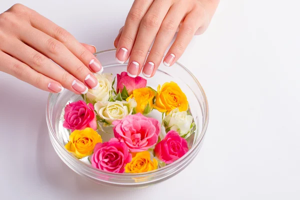 Woman\'s moon franch manicure. Multicolored roses in the water.