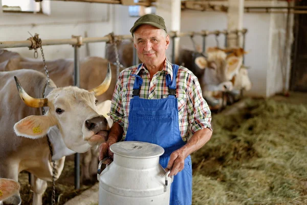 Farmer with dairy cows