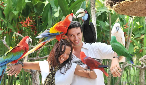 Young couple with tropical birds