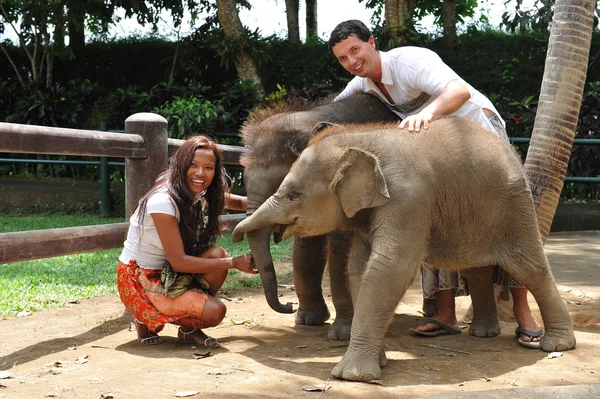 Couple with baby elephants