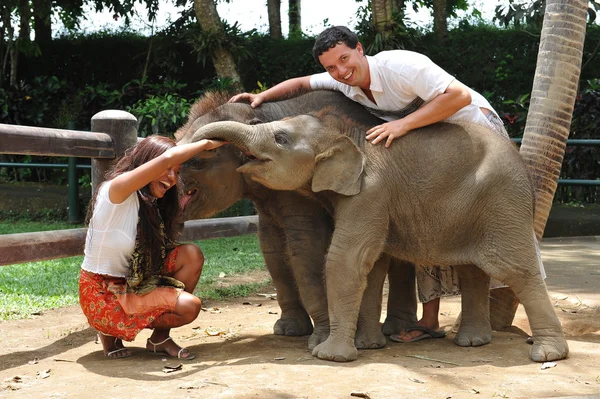 Couple playing with baby elephants
