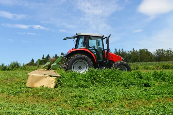 Organic farmer in tractor mowing clover field