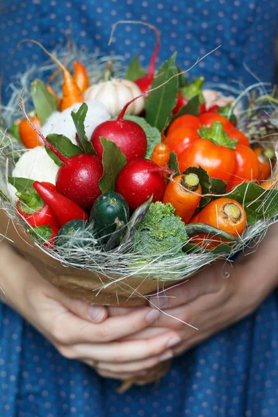 Bouquet of fresh vegetables in woman`s hands