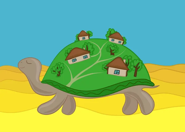 Houses tortoise shell in the desert