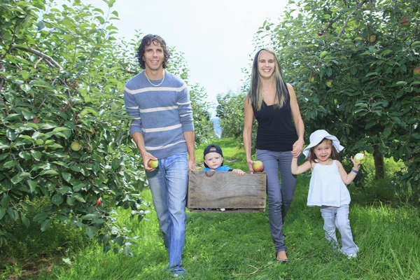 A happy family of four attractive caucasian catch apple on a field