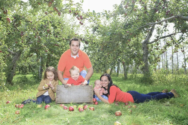 A happy family of four attractive caucasian catch apple on a fie