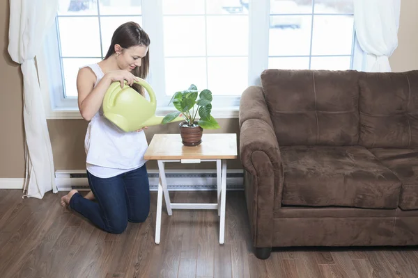 A Woman Watering The Plants in the living room
