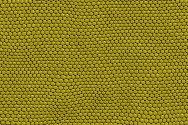 Backgrounds of the lizard skin texture